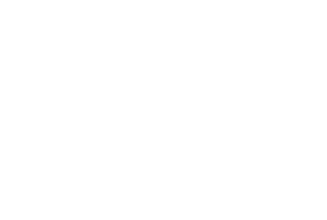 logo-dynacite-01